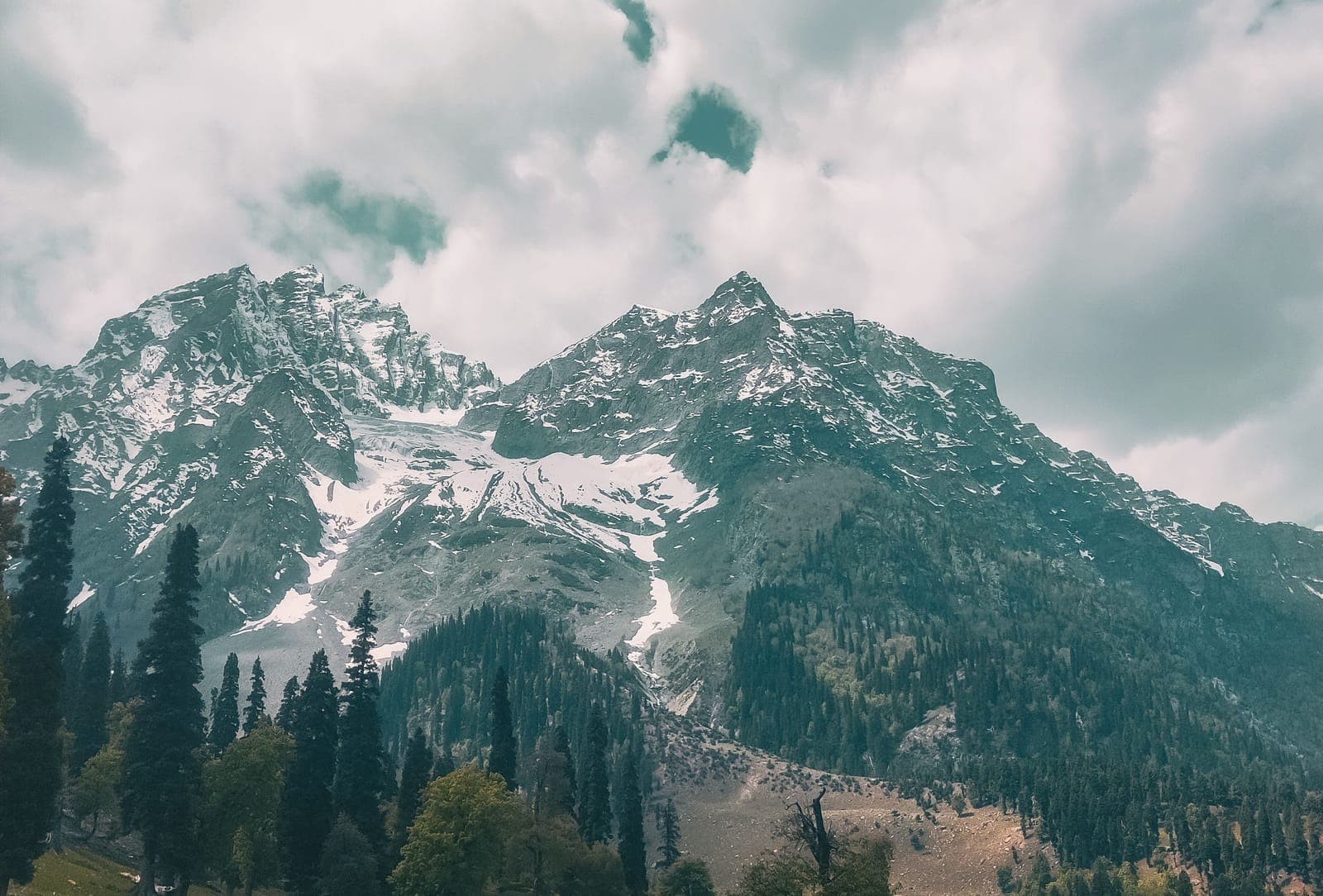 Snow-capped peaks above pine forest in the Kashmir valley