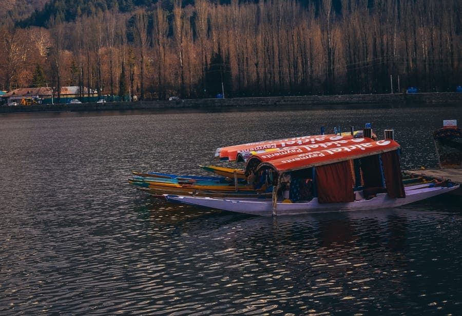 A decorated shikara boat moored on Dal Lake